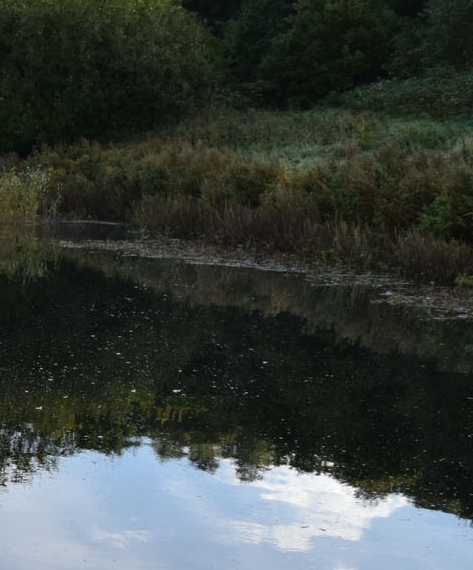 御兽我开局修改sss圣级妖兽