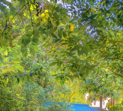 大家都在讨论的大立科技的大立科技股吧分析