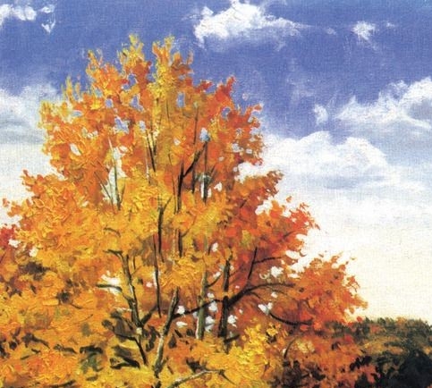 世界上有丧尸病毒吗