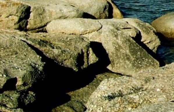 魔兽世界音乐盒