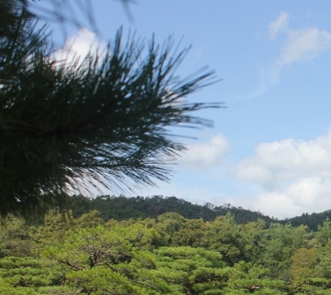 青岛科技大学高密校区地址