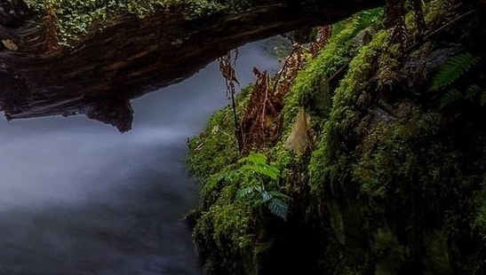 美丽心灵观后感