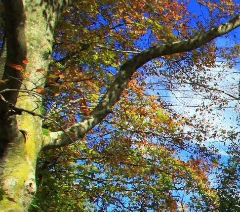 遥远的从来不是距离