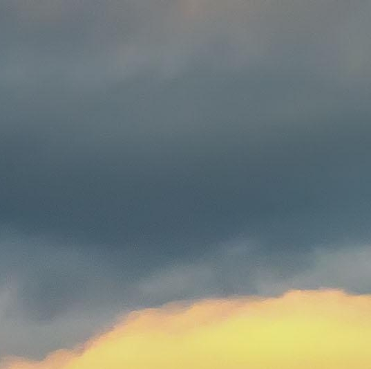 江苏生物科技有限公司简介