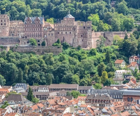 科技纵览是核心期刊吗