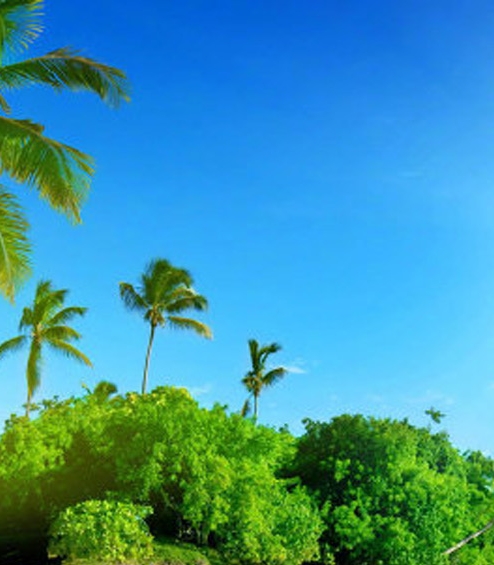 两汉的科技和文化教案优秀