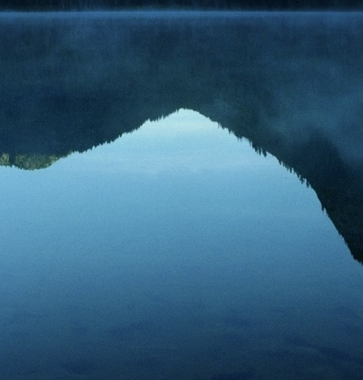 优雅的世界百度网盘