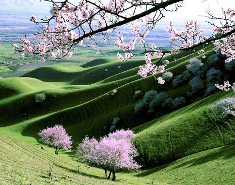 杨天真谈职场法则