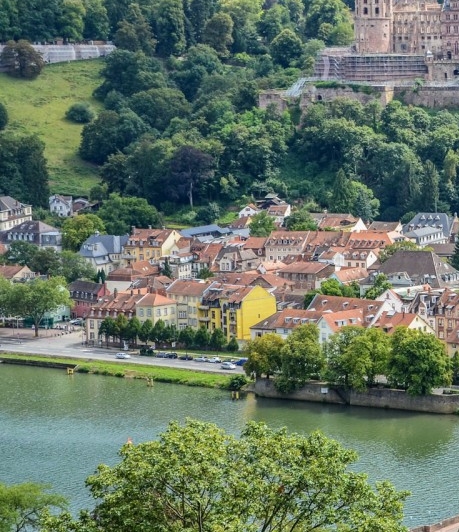 优雅的世界 韩国电影免费观看