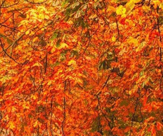 十大科幻歼星武器