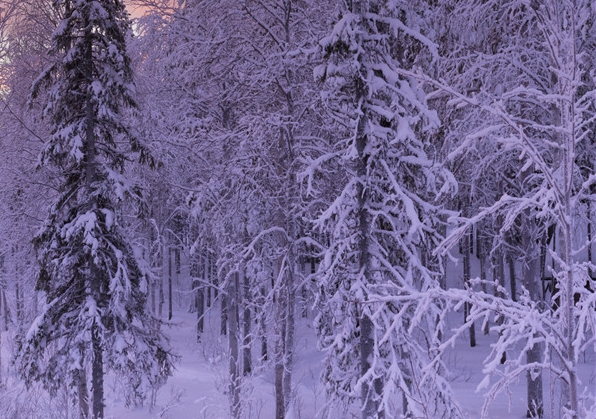 贵州省机关服务中心