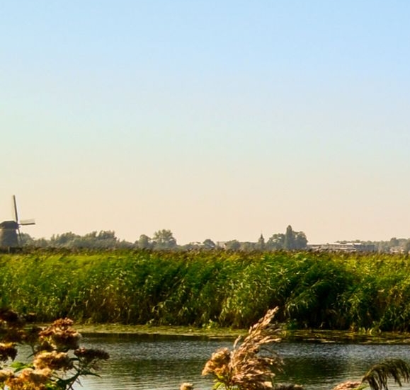 世界上第一个国际禁毒公约是( ) (单选)