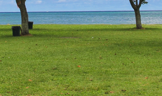 世界手机排名前三