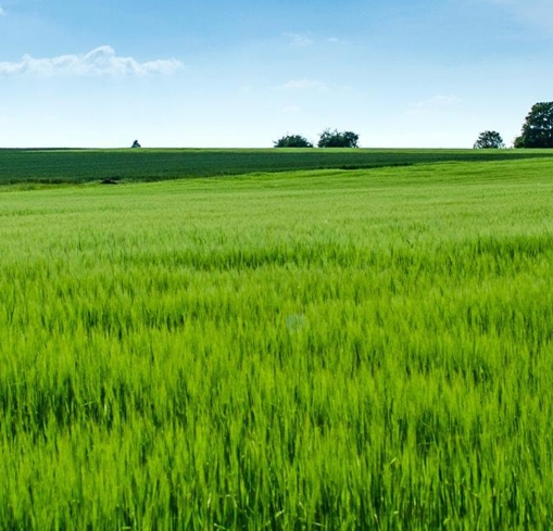 青岛海底世界门票免费吗