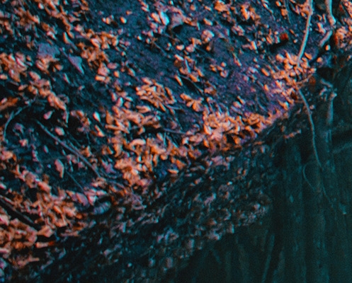 阳明科技有限公司