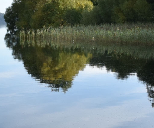 佛山有那个科技馆