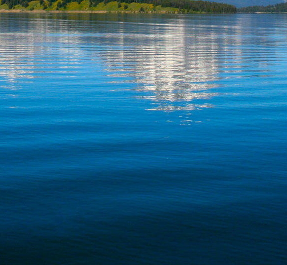 苏州松翔电通招聘