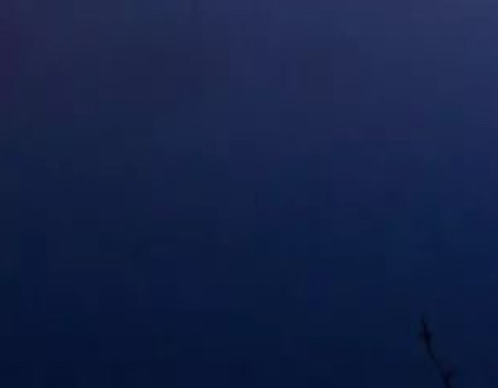 巴西男足和女足谁强