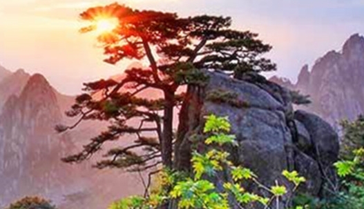 南京海底世界地铁路线和南京海底世界地铁路线详解