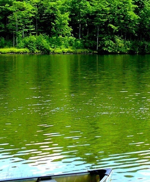 广州长隆欢乐世界门票价格表学生