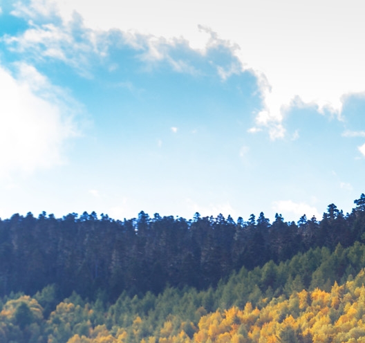 我的世界拔刀剑幻影剑下载