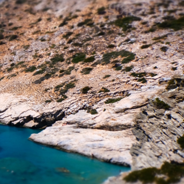 2019年女足世界杯