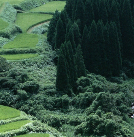 世界上最帅的头像