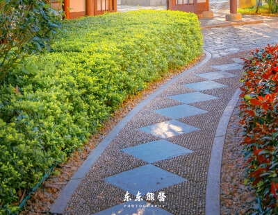 世界水彩名画:探索世界水彩名画的魅力——欣赏有名的水彩画作品