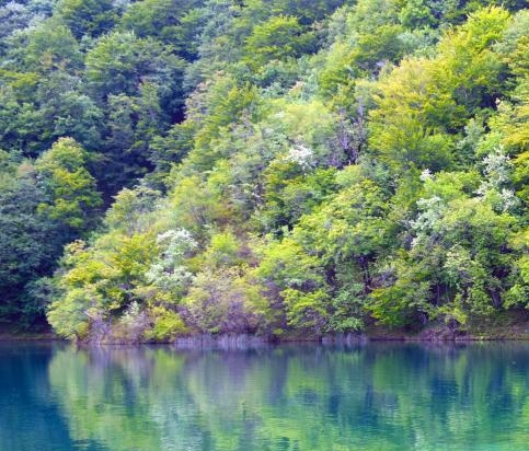 汉朝地图全图高清版世界地图