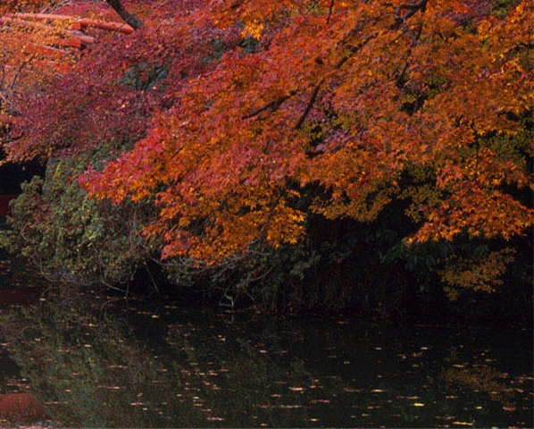 卧安科技企业规模