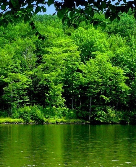 路遥平凡的世界主题思想