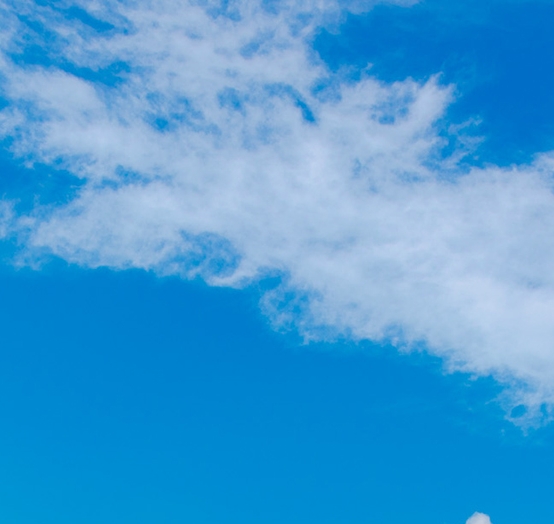 三年级英语单词创意画