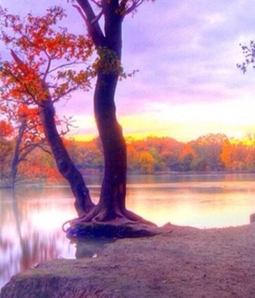 我的世界怎么养蛇