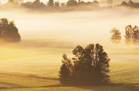 世界上哪个学校作业最多