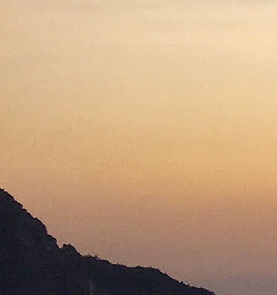 软岛科技 刘昊东