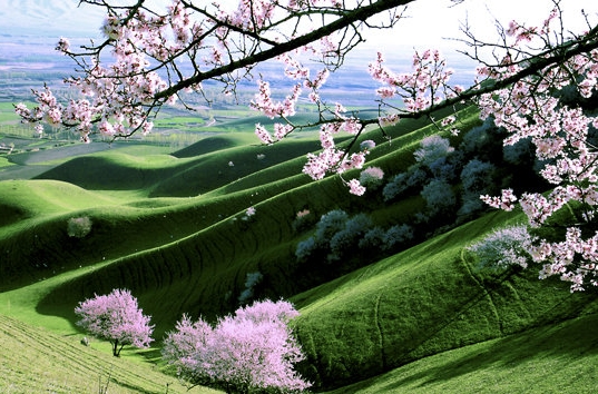 综漫世界重置中下载