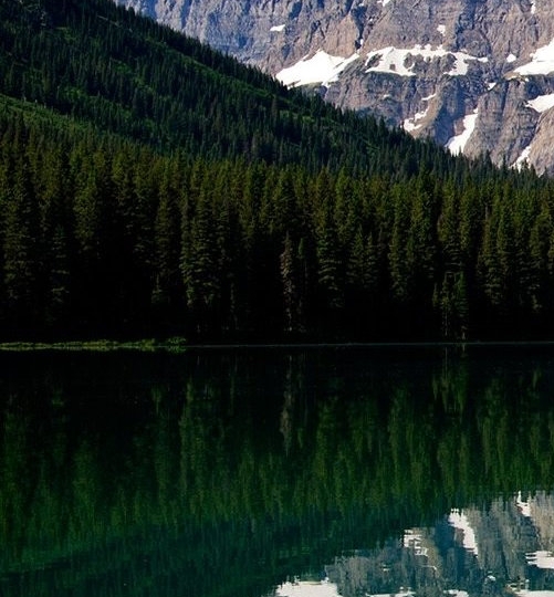 战舰世界武藏还会上架吗