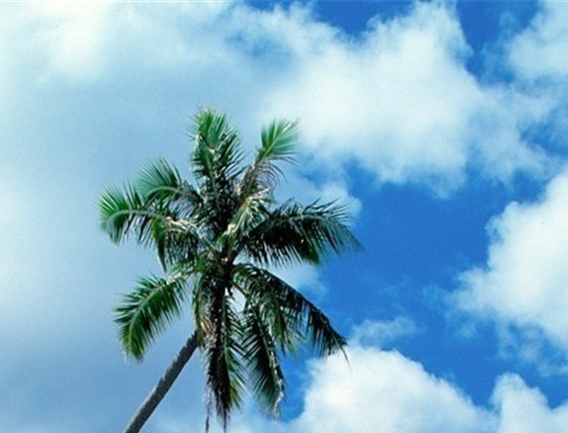 三诺数字科技有限公司电话