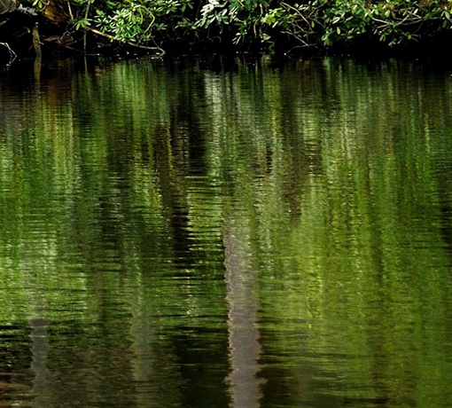 魔兽世界故事背景