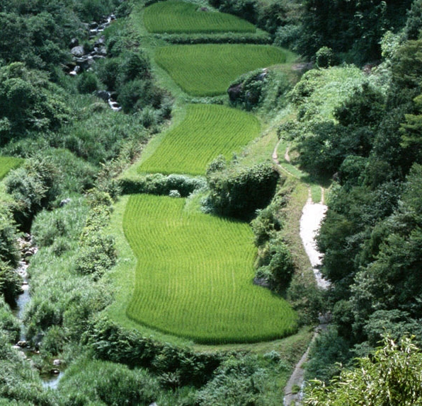 我的世界用纸做单方块生存