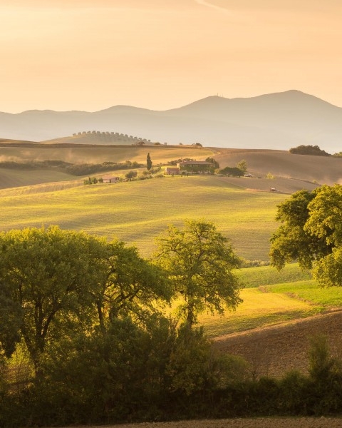 第一个人是怎么来的来到这个世界