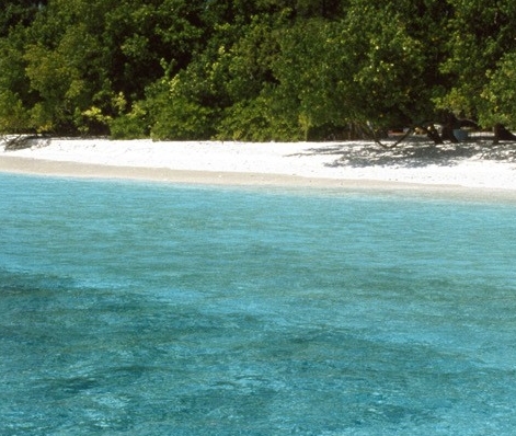 世界最美图书馆的小报