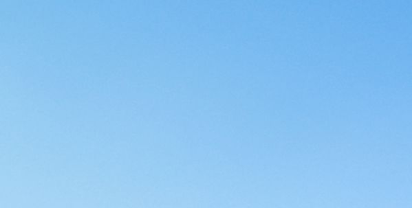 网宿科技千股千评价