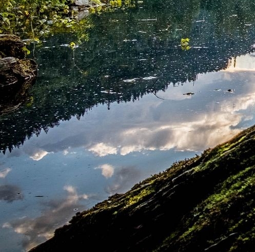 世界第一等视频伍佰