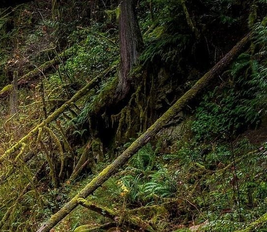 迷你世界所有老版本大全