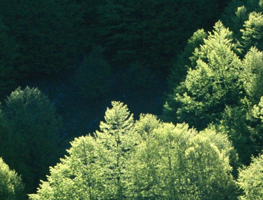 广西科技师范学院什么时候升的本科