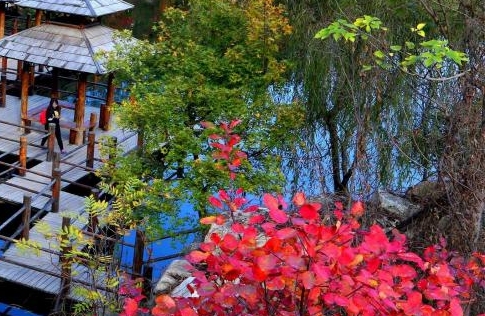 世界十大奢侈品牌衣服的排名