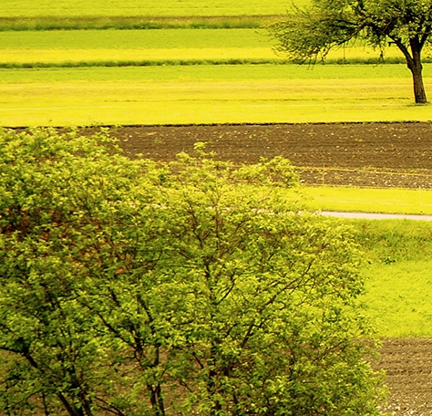 太原科技大学校历多会放寒假