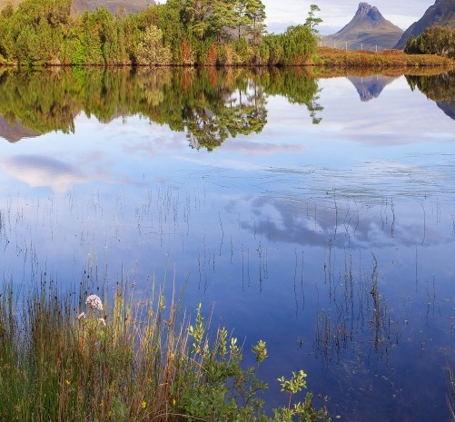 cf手游租号交易平台