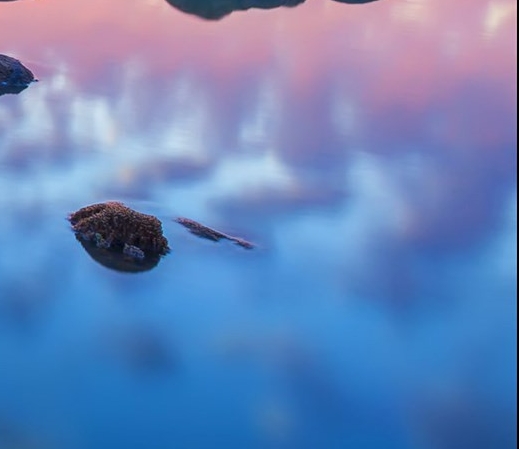 炫彩互动网络科技有限公司是做什么的